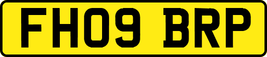 FH09BRP