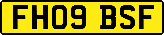 FH09BSF