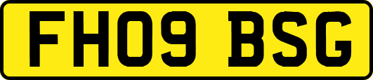 FH09BSG