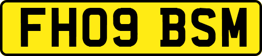 FH09BSM