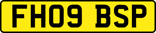 FH09BSP