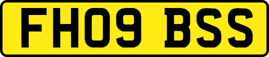 FH09BSS