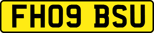 FH09BSU