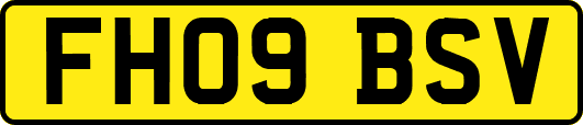 FH09BSV