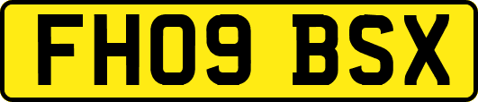 FH09BSX