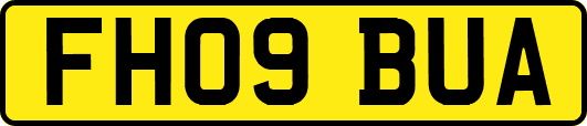 FH09BUA