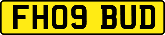 FH09BUD