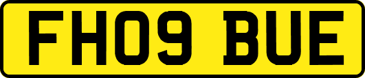 FH09BUE