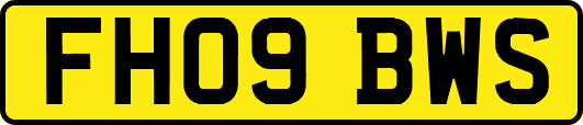 FH09BWS