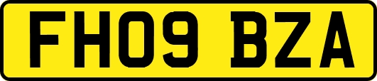 FH09BZA
