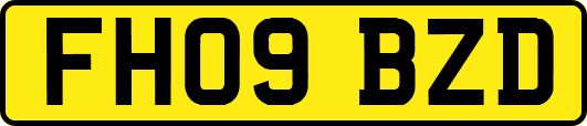 FH09BZD