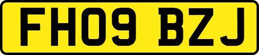 FH09BZJ