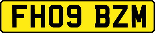 FH09BZM