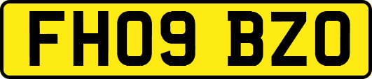 FH09BZO