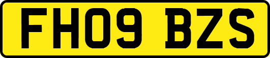 FH09BZS