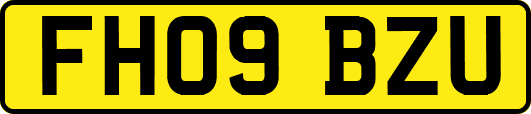 FH09BZU
