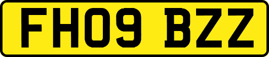 FH09BZZ