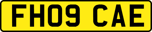 FH09CAE