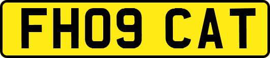 FH09CAT