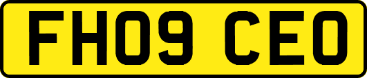 FH09CEO