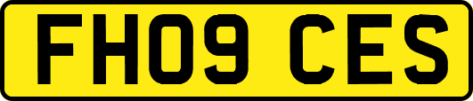 FH09CES