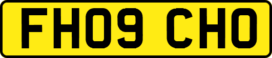 FH09CHO