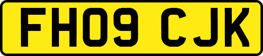 FH09CJK