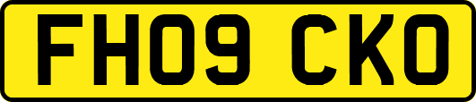 FH09CKO