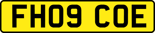 FH09COE