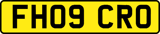 FH09CRO
