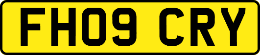 FH09CRY