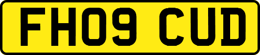 FH09CUD