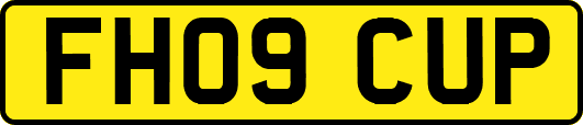 FH09CUP