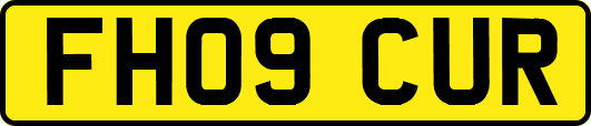 FH09CUR