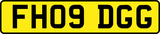 FH09DGG