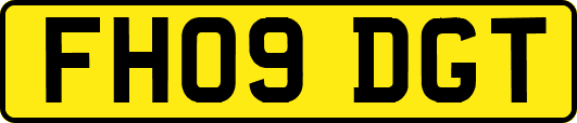FH09DGT