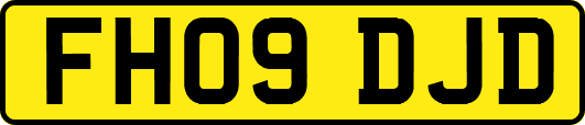 FH09DJD