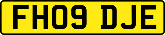 FH09DJE