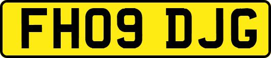 FH09DJG
