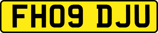 FH09DJU