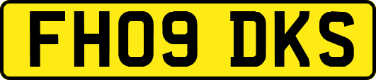 FH09DKS