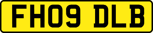 FH09DLB
