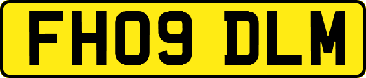 FH09DLM