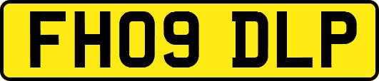 FH09DLP