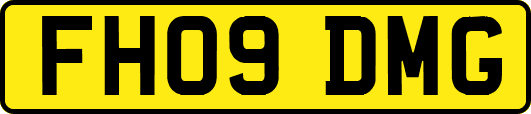 FH09DMG