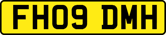 FH09DMH
