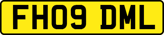 FH09DML