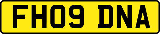 FH09DNA