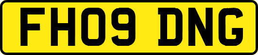 FH09DNG