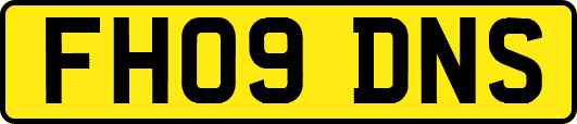 FH09DNS